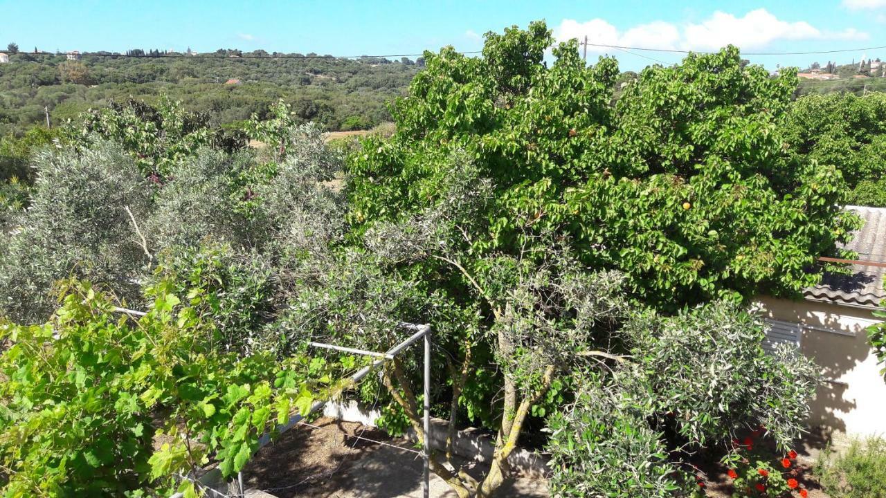 Country House Kefalonia Dhorizáta 外观 照片